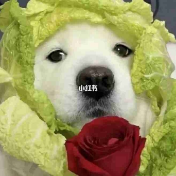毅的   忘/.