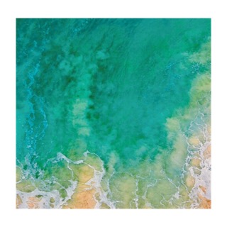The Sea