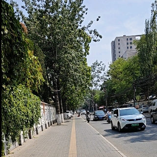 蹲小可爱