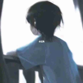 屿.