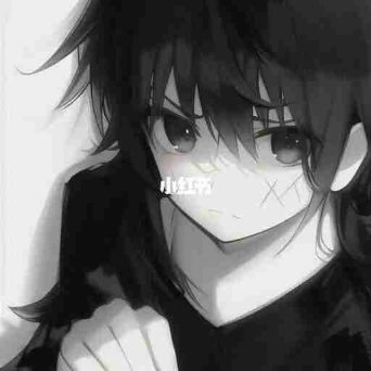 屿.
