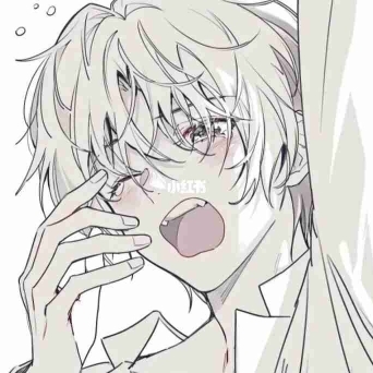 屿.