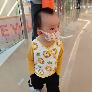 白柳