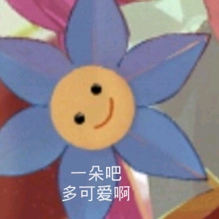 小蓝花