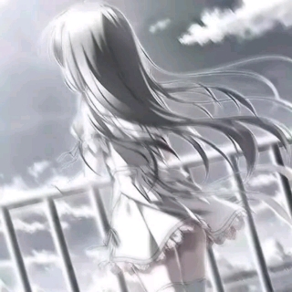 憶鯊