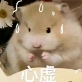 吴晓涵