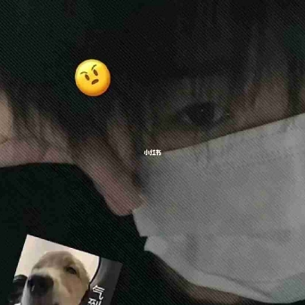 伪装
