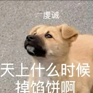 高中牲