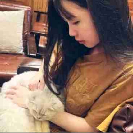 小菜.