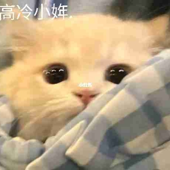 高冷小姩.