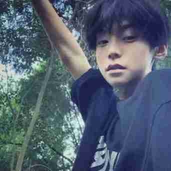 闪电小狗.