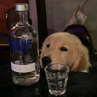 不开心小狗