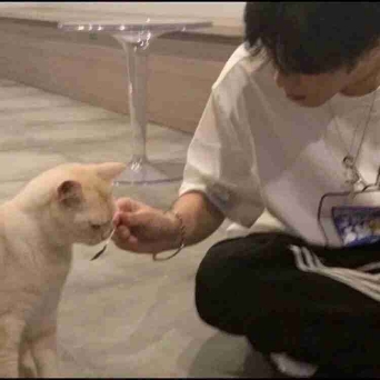 前任