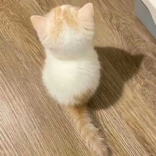 Ue_