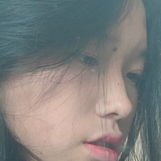 聆悸玫瑰