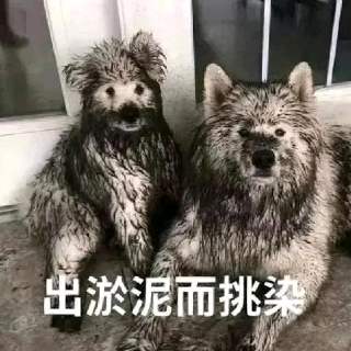 贾宝玉