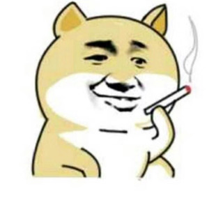 逗逗的大毛