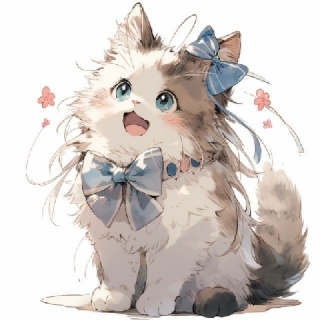 三花喵2