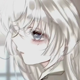 追月人