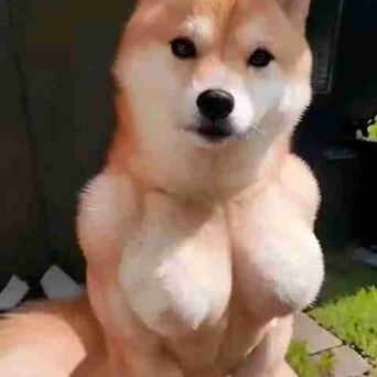 海愛