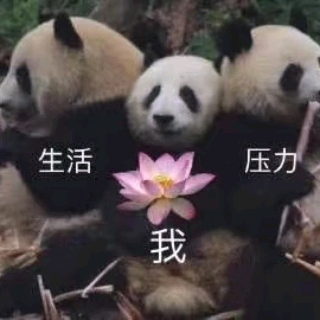 怎么办