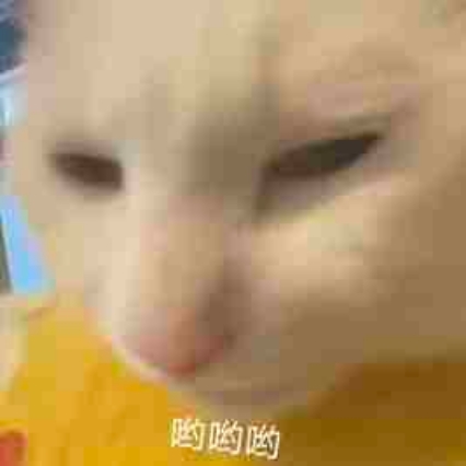 櫻_