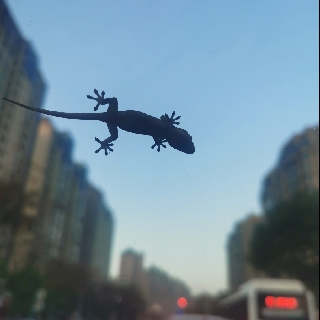 过眼云烟