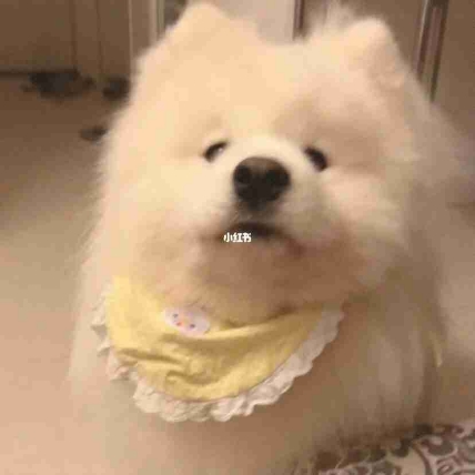 甜宝
