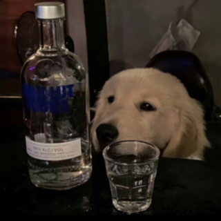 粥粮