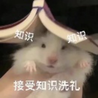 小🐹