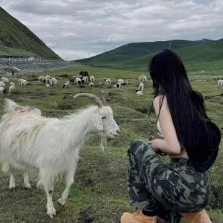自由