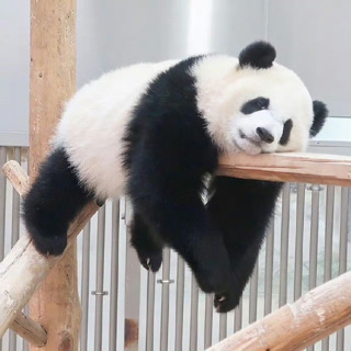 般若