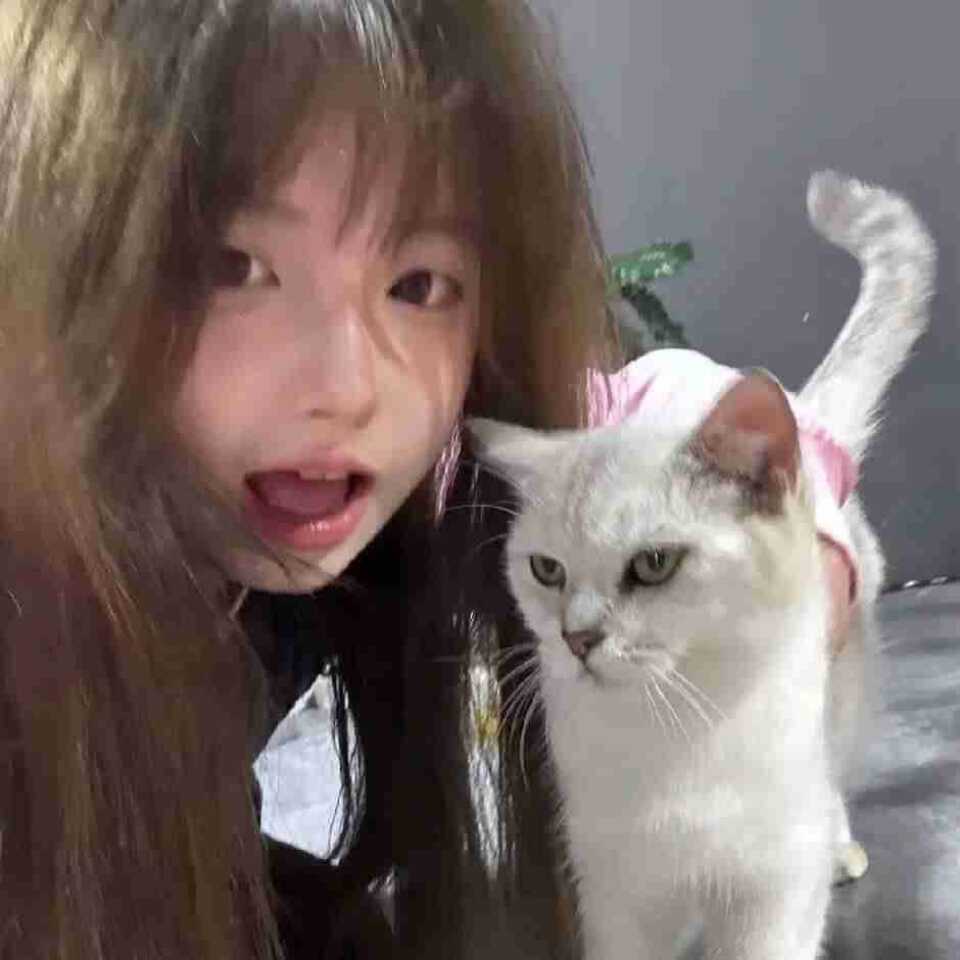 鹿悸姩/.