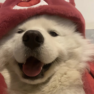 江安洛