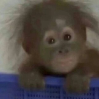 许清安