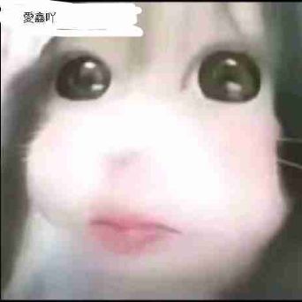 ฅ少萝宝宝ฅ