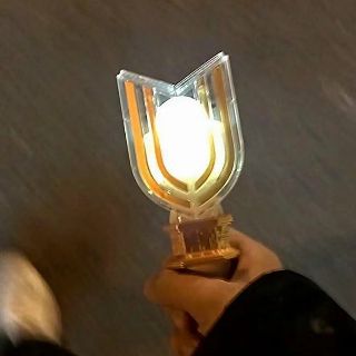 白掌