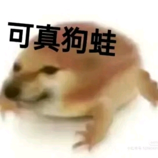 可真狗蛙