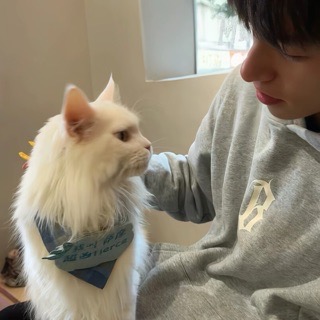 羽田织