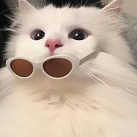 沐念
