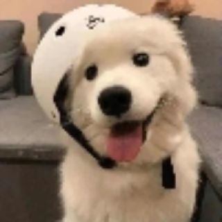 自如予