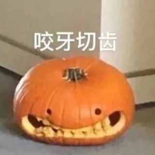 癞疙宝