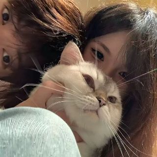 魚