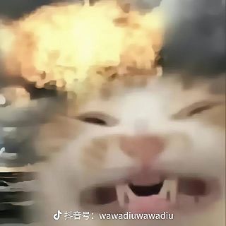 绿玖大帝