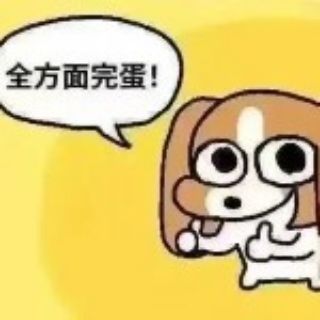 比格犬多栋
