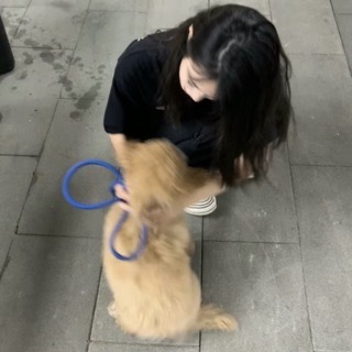 陌殇
