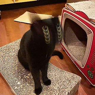 桃妖