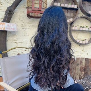 苏苏