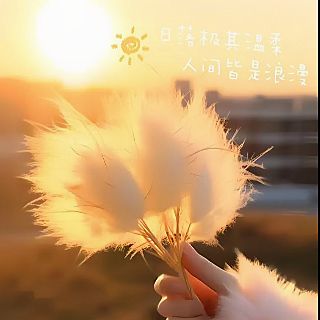 宁夏鸣星