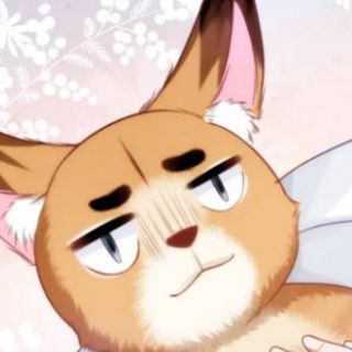 呃。。。